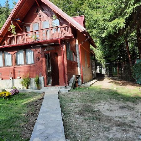 Casuta Paterau Cheia, Prahova Villa Cheia  Eksteriør billede