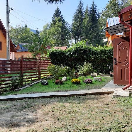 Casuta Paterau Cheia, Prahova Villa Cheia  Eksteriør billede